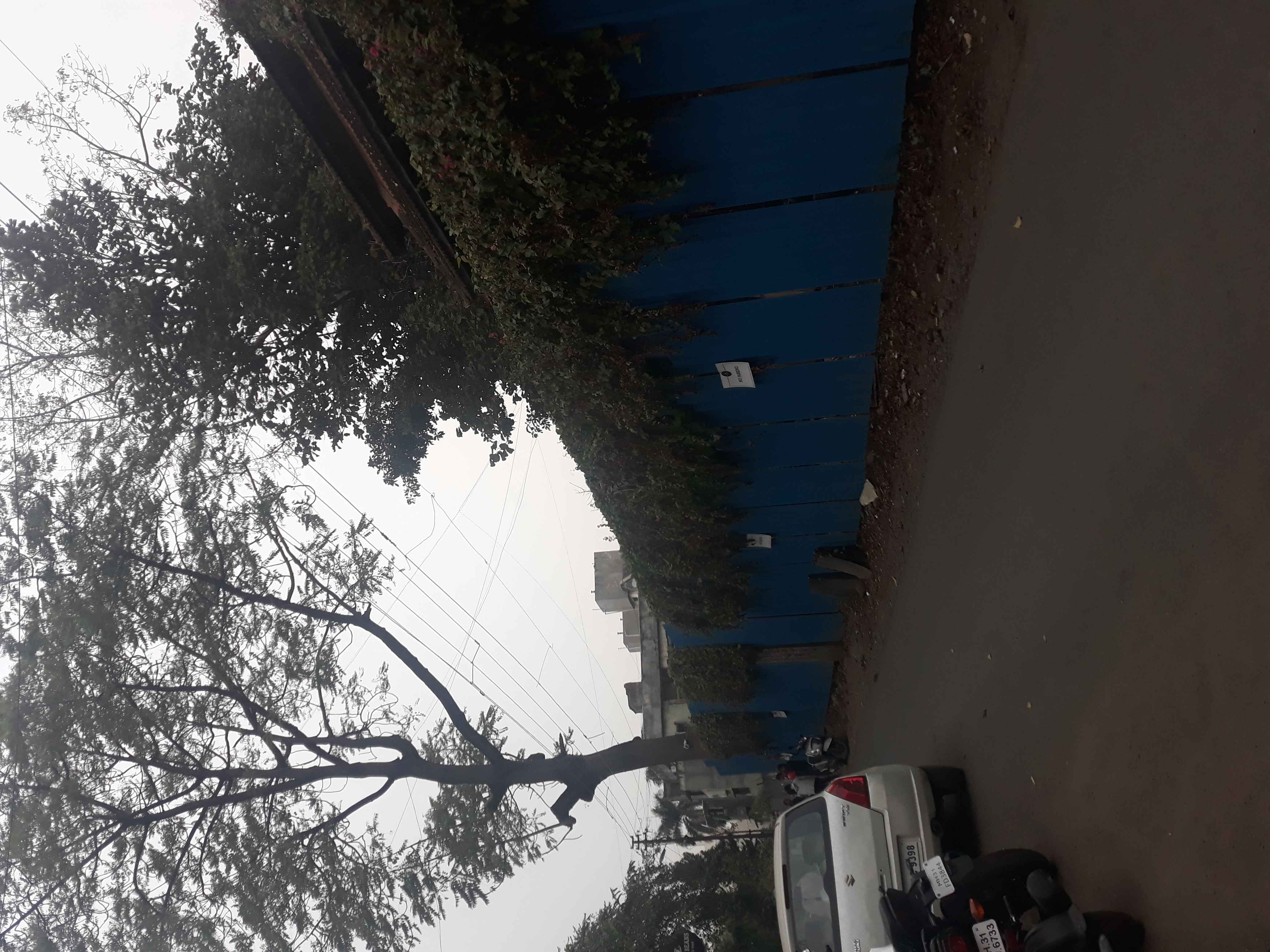 tree beans Parking In Nagpur